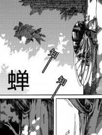 蝉