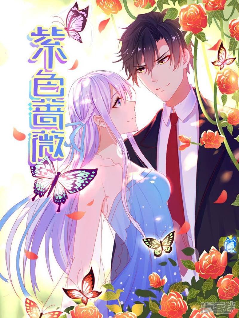 紫色蔷薇