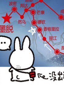 胖兔子粥粥
