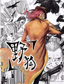 野狗