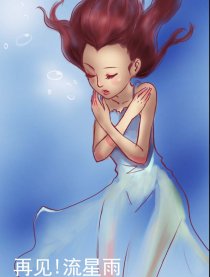 再见！流星雨