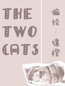 The two cats