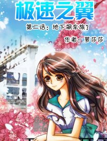 极速之翼