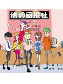 情调公司